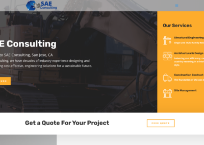 SAE CONSULTING
